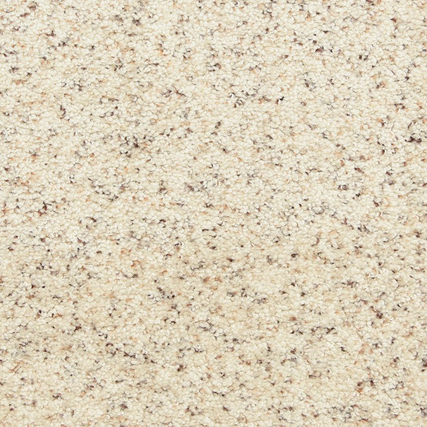 Worldwide Flooring Design Center PURE GRACE PURE GRACE Dixie Home Floors