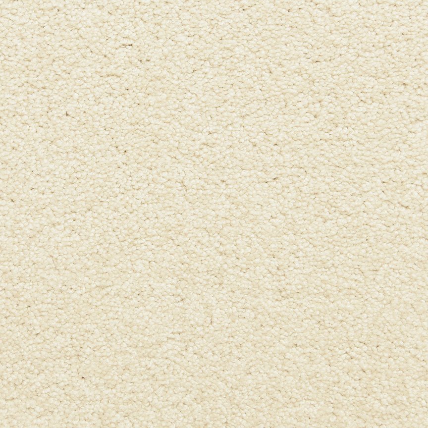 Worldwide Flooring Design Center PURE GRACE PURE GRACE Dixie Home Floors