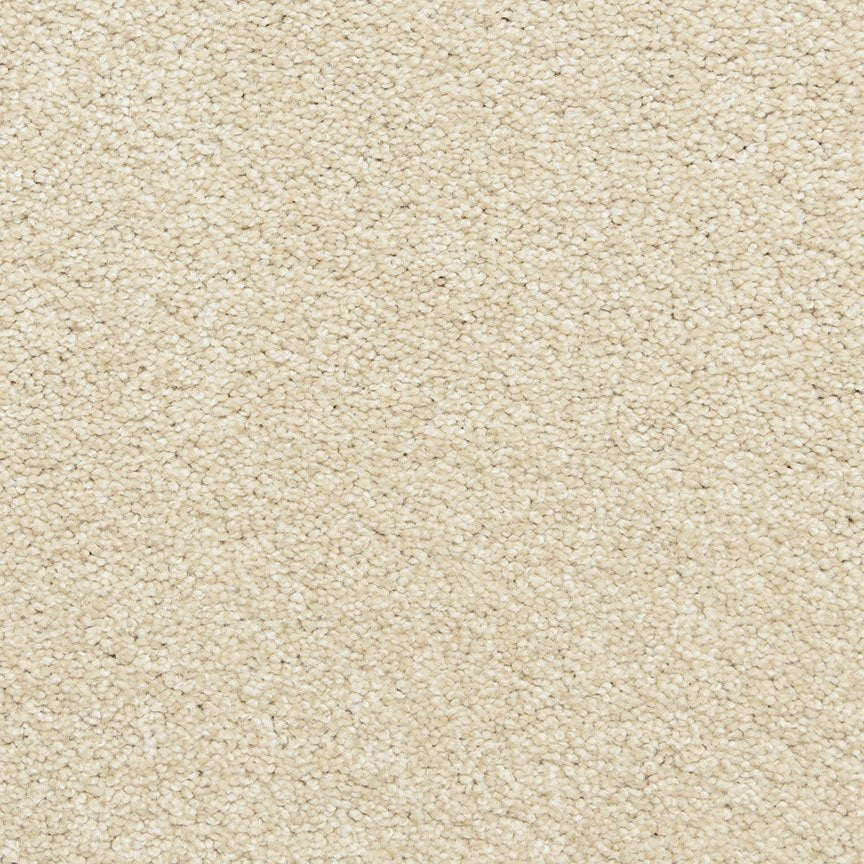 Worldwide Flooring Design Center PURE GRACE PURE GRACE Dixie Home Floors