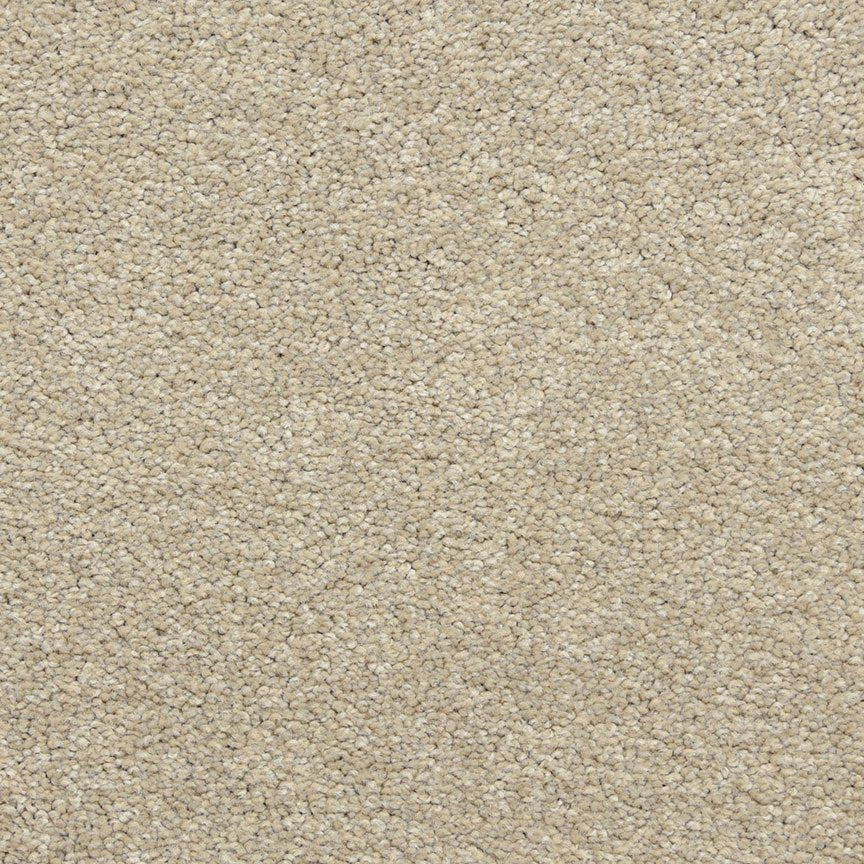 Worldwide Flooring Design Center PURE GRACE PURE GRACE Dixie Home Floors