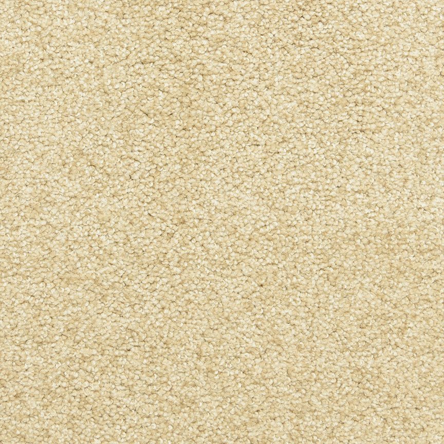 Worldwide Flooring Design Center PURE GRACE PURE GRACE Dixie Home Floors