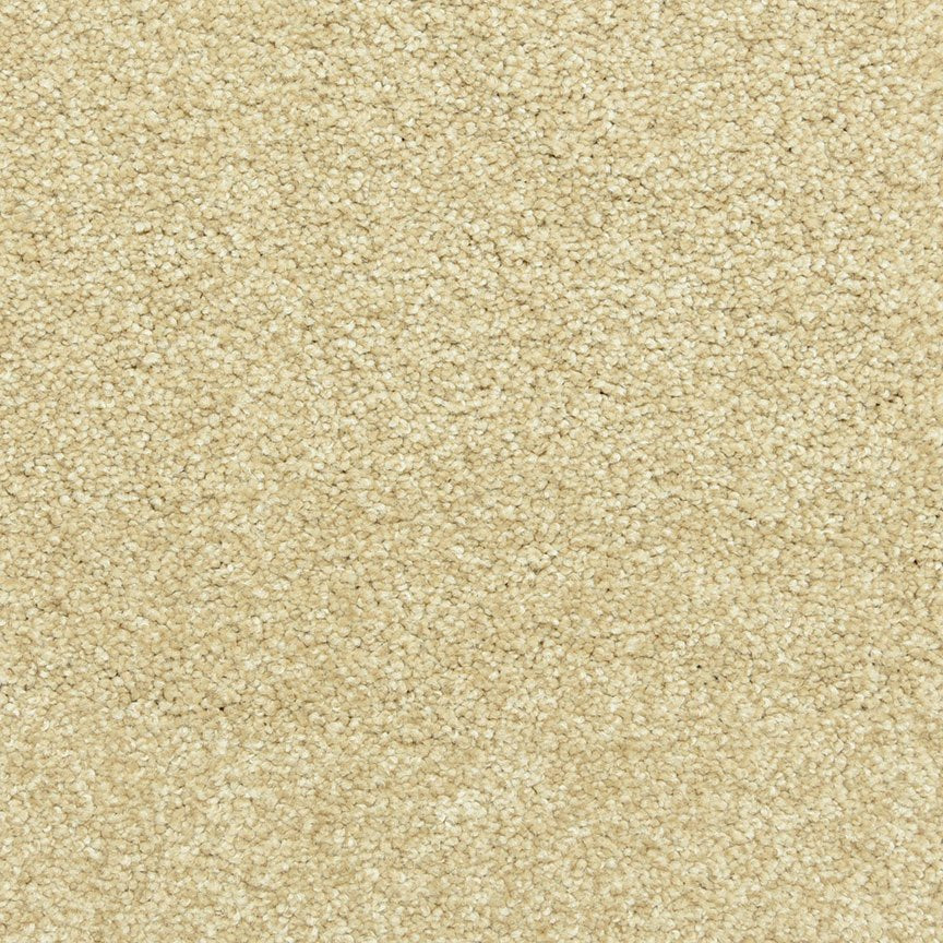 Worldwide Flooring Design Center SIMPLICITY SIMPLICITY Dixie Home Floors