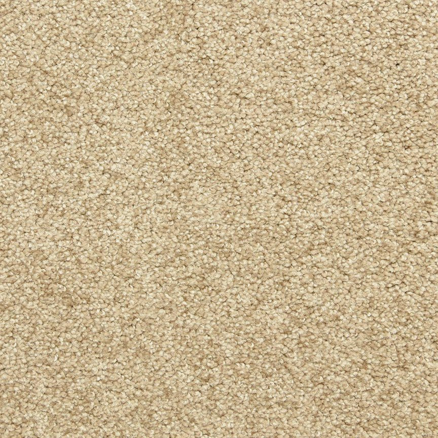 Worldwide Flooring Design Center PURE GRACE PURE GRACE Dixie Home Floors