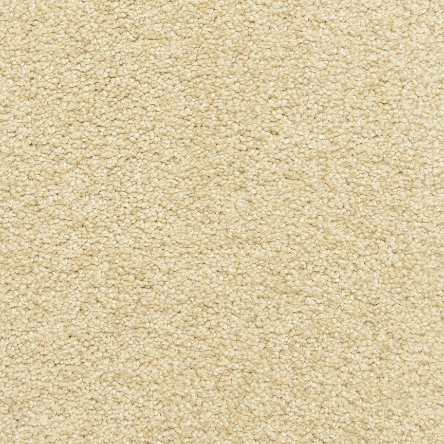 Worldwide Flooring Design Center PURE GRACE PURE GRACE Dixie Home Floors