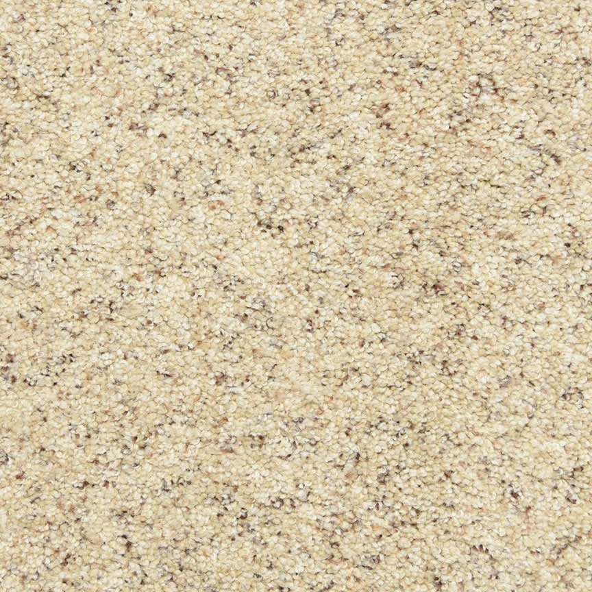 Worldwide Flooring Design Center PURE GRACE PURE GRACE Dixie Home Floors
