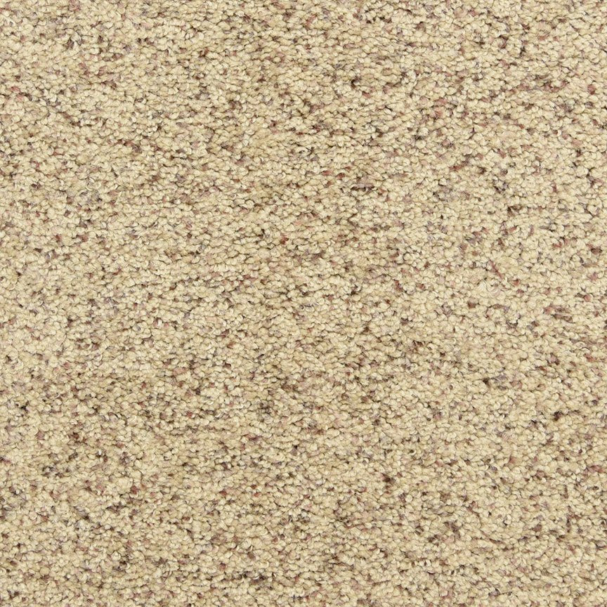 Worldwide Flooring Design Center PURE GRACE PURE GRACE Dixie Home Floors