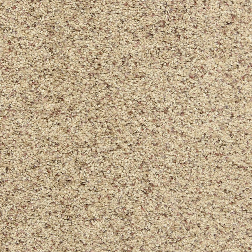 Worldwide Flooring Design Center PURE GRACE PURE GRACE Dixie Home Floors