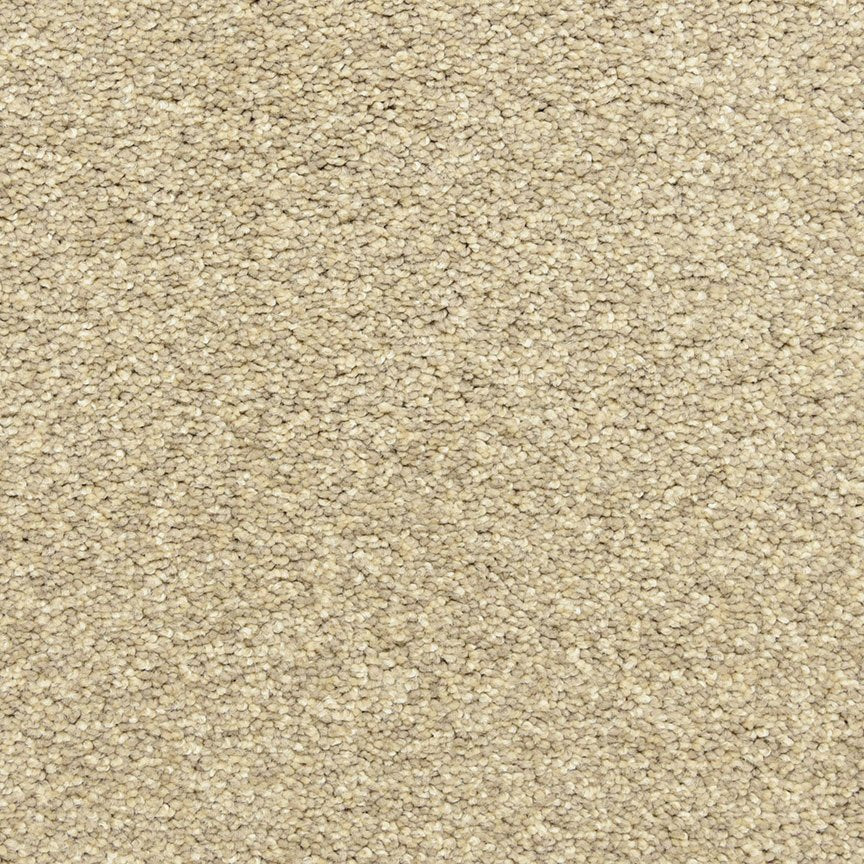 Worldwide Flooring Design Center PURE GRACE PURE GRACE Dixie Home Floors