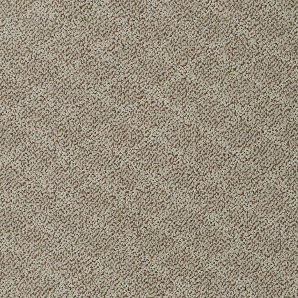 Worldwide Flooring Design Center PERSUASION PERSUASION Dixie Home Floors