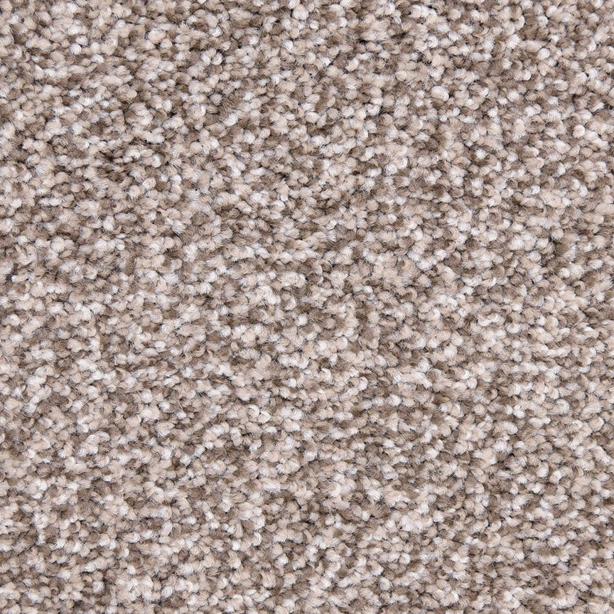 Worldwide Flooring Design Center PURE GRACE PURE GRACE Dixie Home Floors