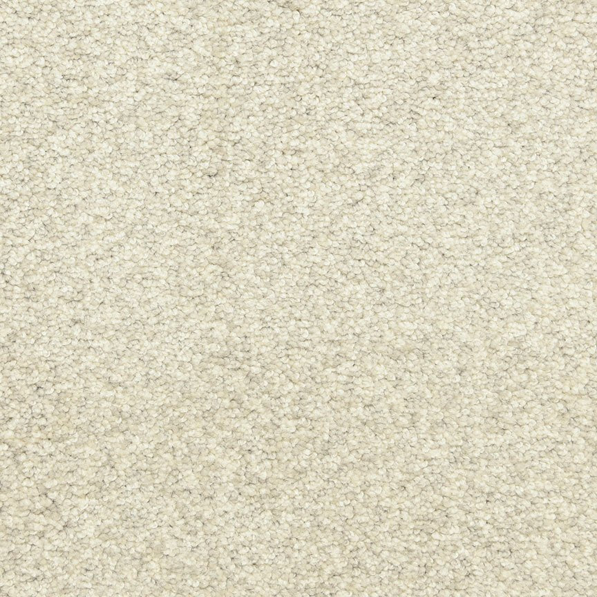 Worldwide Flooring Design Center PURE GRACE PURE GRACE Dixie Home Floors