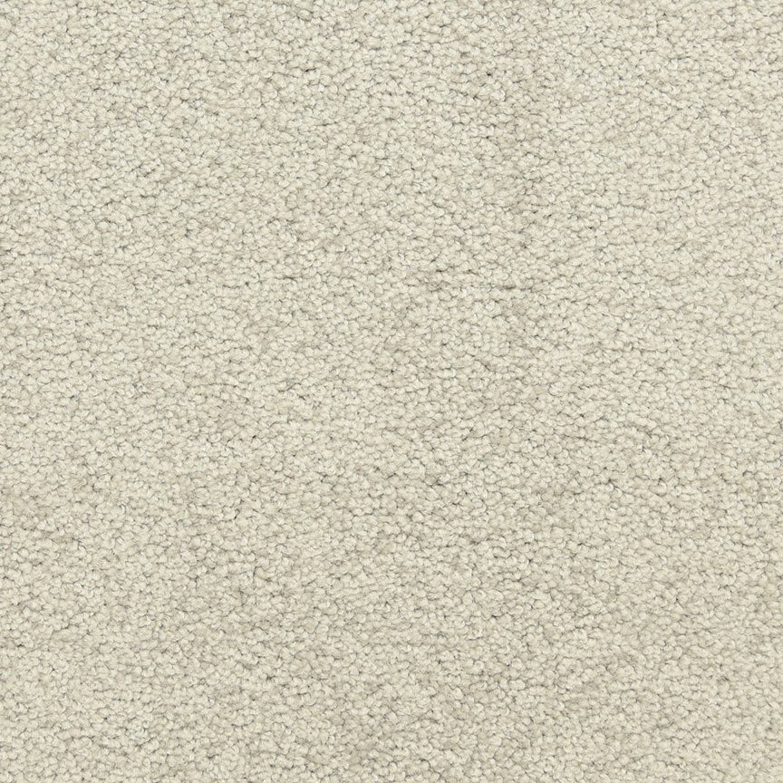 Worldwide Flooring Design Center PURE GRACE PURE GRACE Dixie Home Floors