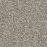 Worldwide Flooring Design Center TRAPPER TRAPPER Dixie Home Floors