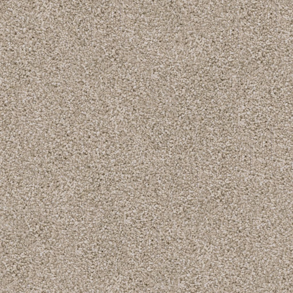 Worldwide Flooring Design Center TRAPPER TRAPPER Dixie Home Floors