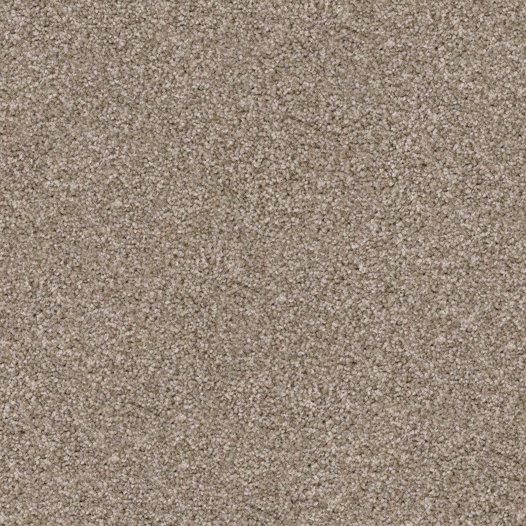 Worldwide Flooring Design Center GUARD GUARD Dixie Home Floors