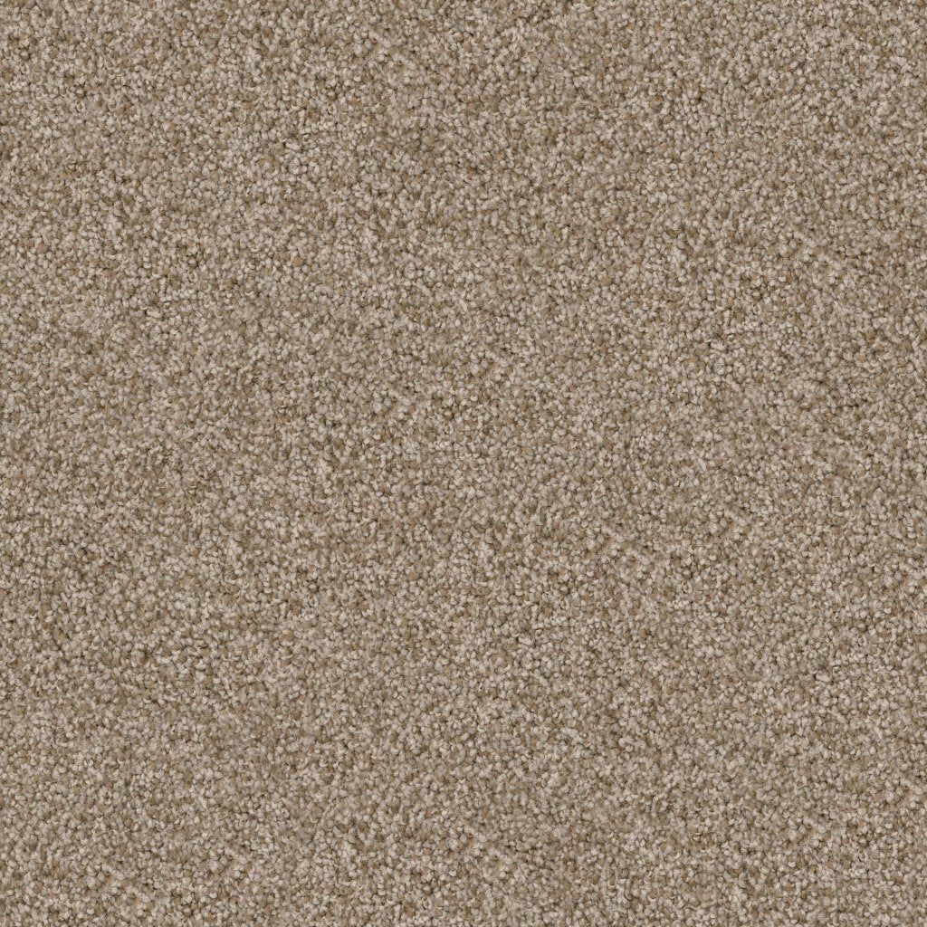 Worldwide Flooring Design Center TRAPPER TRAPPER Dixie Home Floors