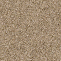 Worldwide Flooring Design Center TRAPPER TRAPPER Dixie Home Floors