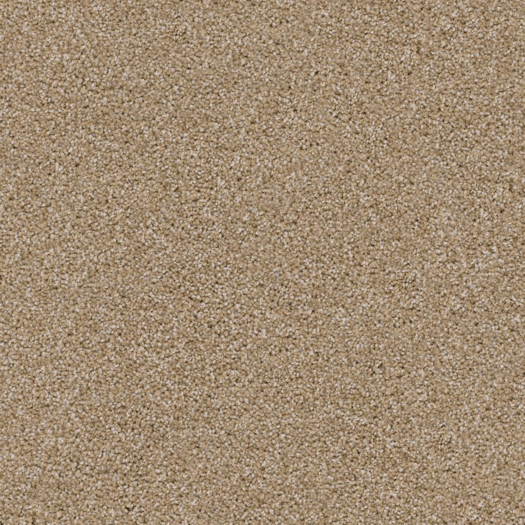 Worldwide Flooring Design Center TRAPPER TRAPPER Dixie Home Floors