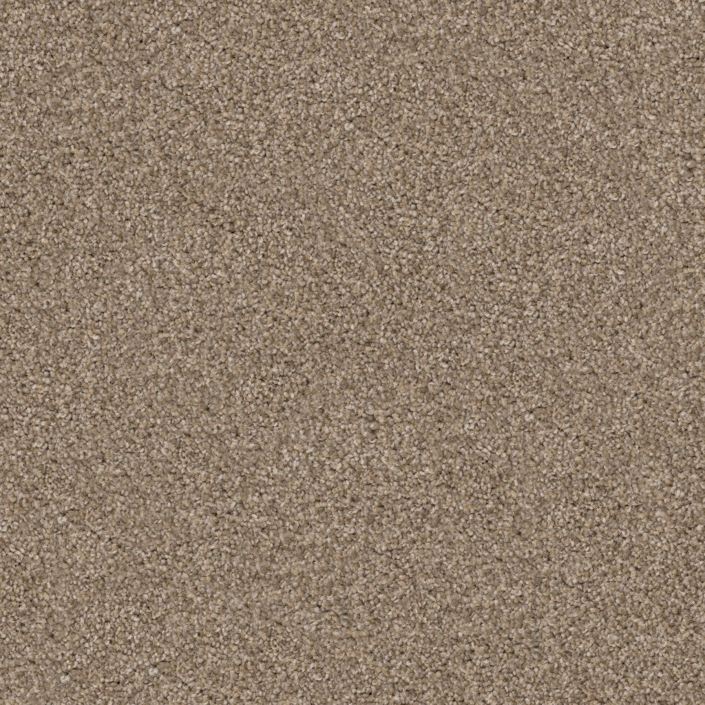 Worldwide Flooring Design Center TRAPPER TRAPPER Dixie Home Floors