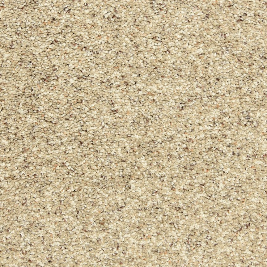 Worldwide Flooring Design Center PURE GRACE PURE GRACE Dixie Home Floors