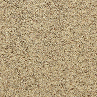 Worldwide Flooring Design Center PURE GRACE PURE GRACE Dixie Home Floors
