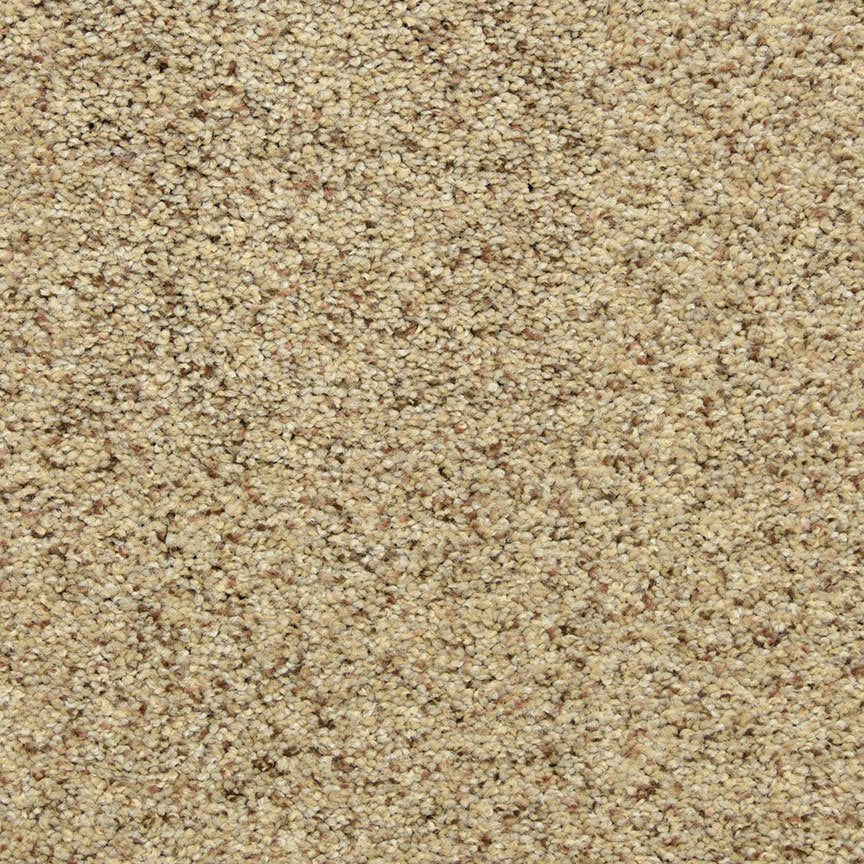 Worldwide Flooring Design Center PURE GRACE PURE GRACE Dixie Home Floors