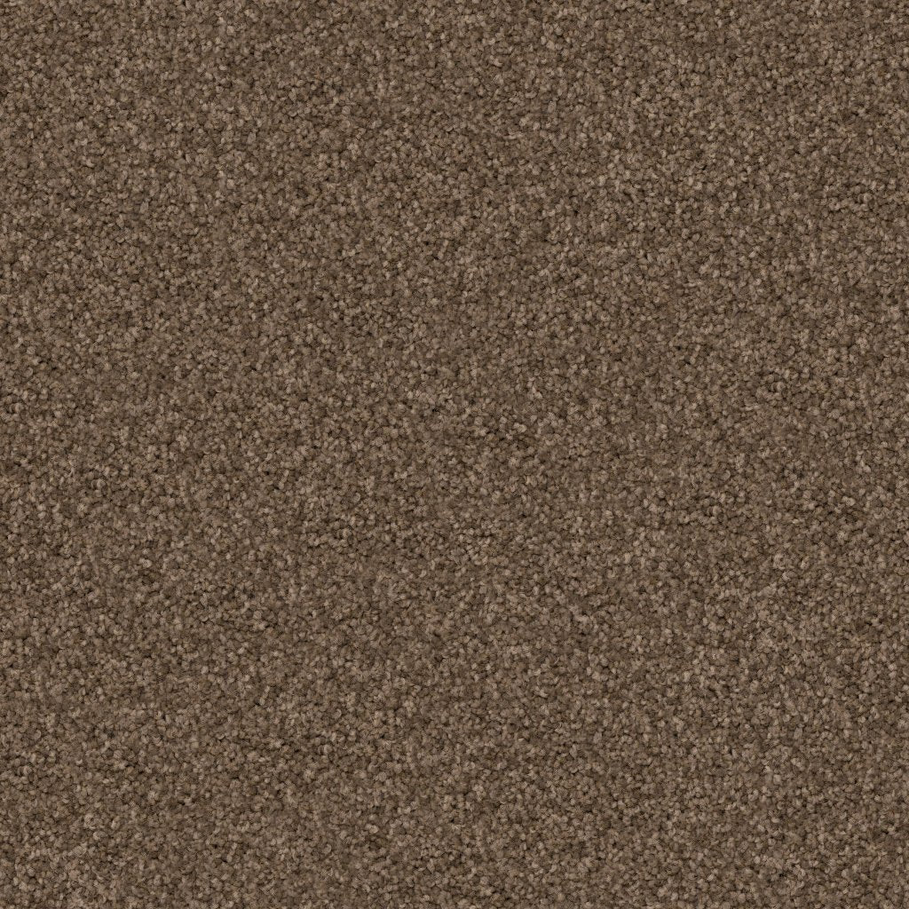 Worldwide Flooring Design Center TRAPPER TRAPPER Dixie Home Floors