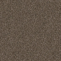 Worldwide Flooring Design Center TRAPPER TRAPPER Dixie Home Floors