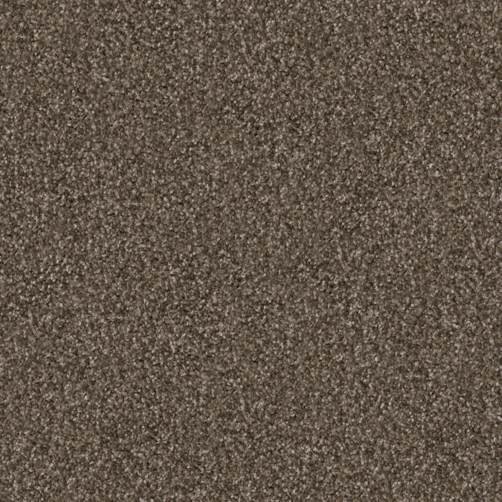 Worldwide Flooring Design Center TRAPPER TRAPPER Dixie Home Floors
