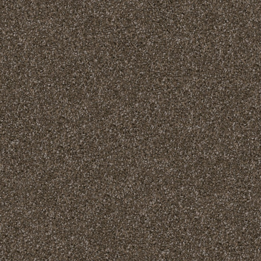 Worldwide Flooring Design Center TRAPPER TRAPPER Dixie Home Floors