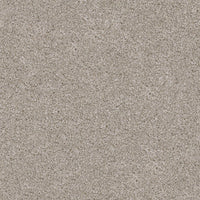 Worldwide Flooring Design Center GUARD GUARD Dixie Home Floors
