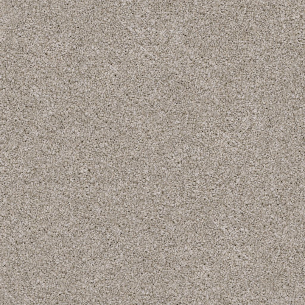 Worldwide Flooring Design Center TRAPPER TRAPPER Dixie Home Floors