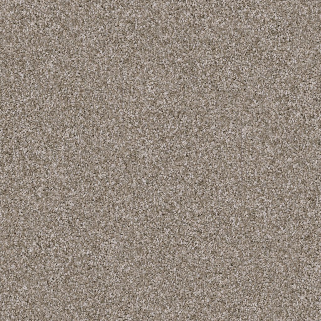 Worldwide Flooring Design Center TRAPPER TRAPPER Dixie Home Floors