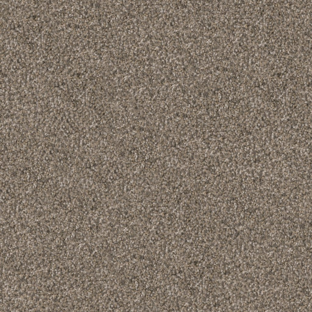 Worldwide Flooring Design Center GUARD GUARD Dixie Home Floors