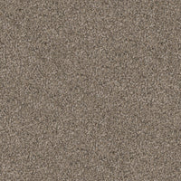 Worldwide Flooring Design Center TRAPPER TRAPPER Dixie Home Floors