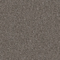Worldwide Flooring Design Center TRAPPER TRAPPER Dixie Home Floors