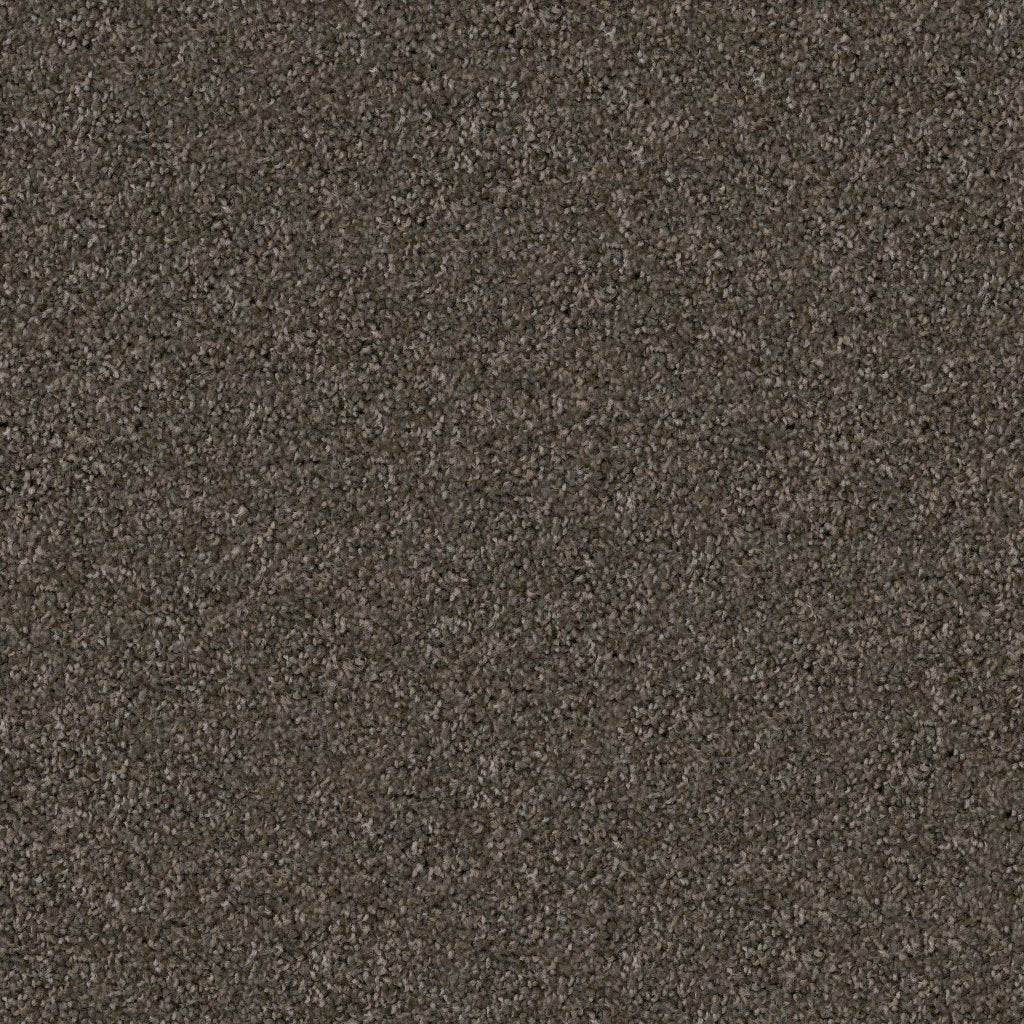 Worldwide Flooring Design Center GUARD GUARD Dixie Home Floors
