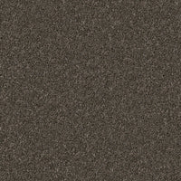 Worldwide Flooring Design Center TRAPPER TRAPPER Dixie Home Floors