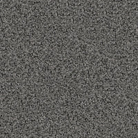 Worldwide Flooring Design Center TRAPPER TRAPPER Dixie Home Floors