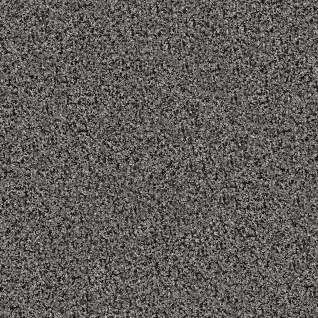 Worldwide Flooring Design Center TRAPPER TRAPPER Dixie Home Floors
