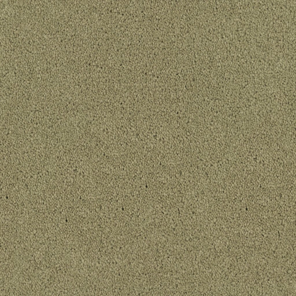 Worldwide Flooring Design Center TRIBUTE TRIBUTE Fabrica Floors