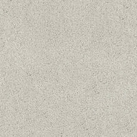 Worldwide Flooring Design Center TRIBUTE TRIBUTE Fabrica Floors