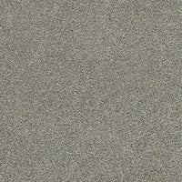 Worldwide Flooring Design Center Grand Slam II Grand Slam II DreamWeaver 