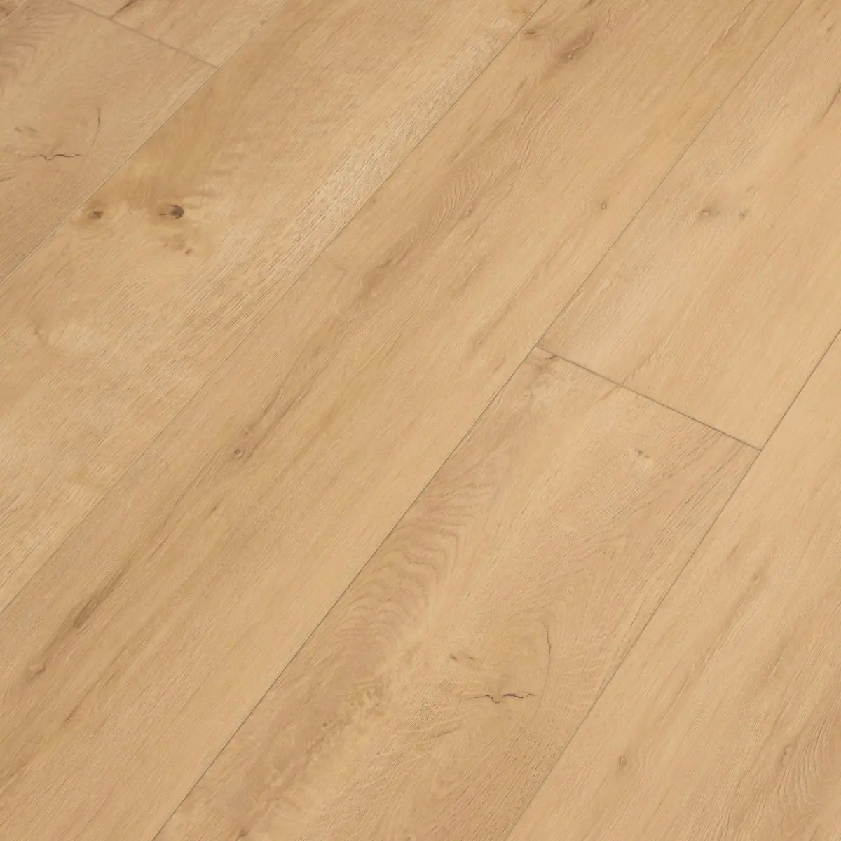 Worldwide Flooring Design Center LEGENDS - HIDDEN PALM  Cali Floors