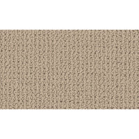 Worldwide Flooring Design Center INFINITE TREASURE INFINITE TREASURE Karastan Floors