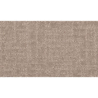 Worldwide Flooring Design Center DELICATE FACETS DELICATE FACETS Karastan Floors