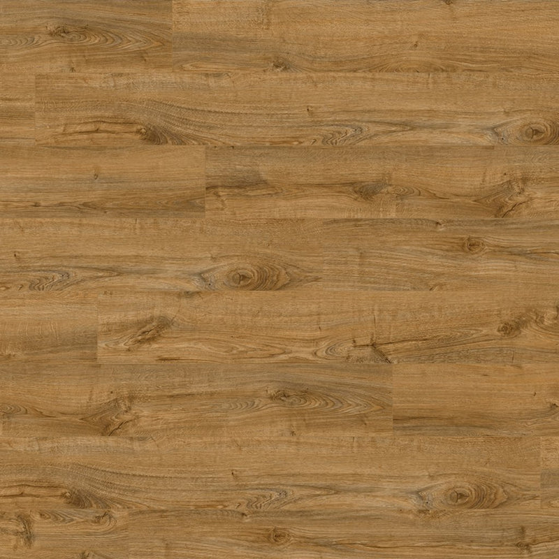 Worldwide Flooring Design Center WILLOW ESTATES - FOXGLOVE WILLOW ESTATES - FOXGLOVE Karastan Floors