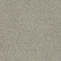 Worldwide Flooring Design Center Grand Slam II Grand Slam II DreamWeaver 