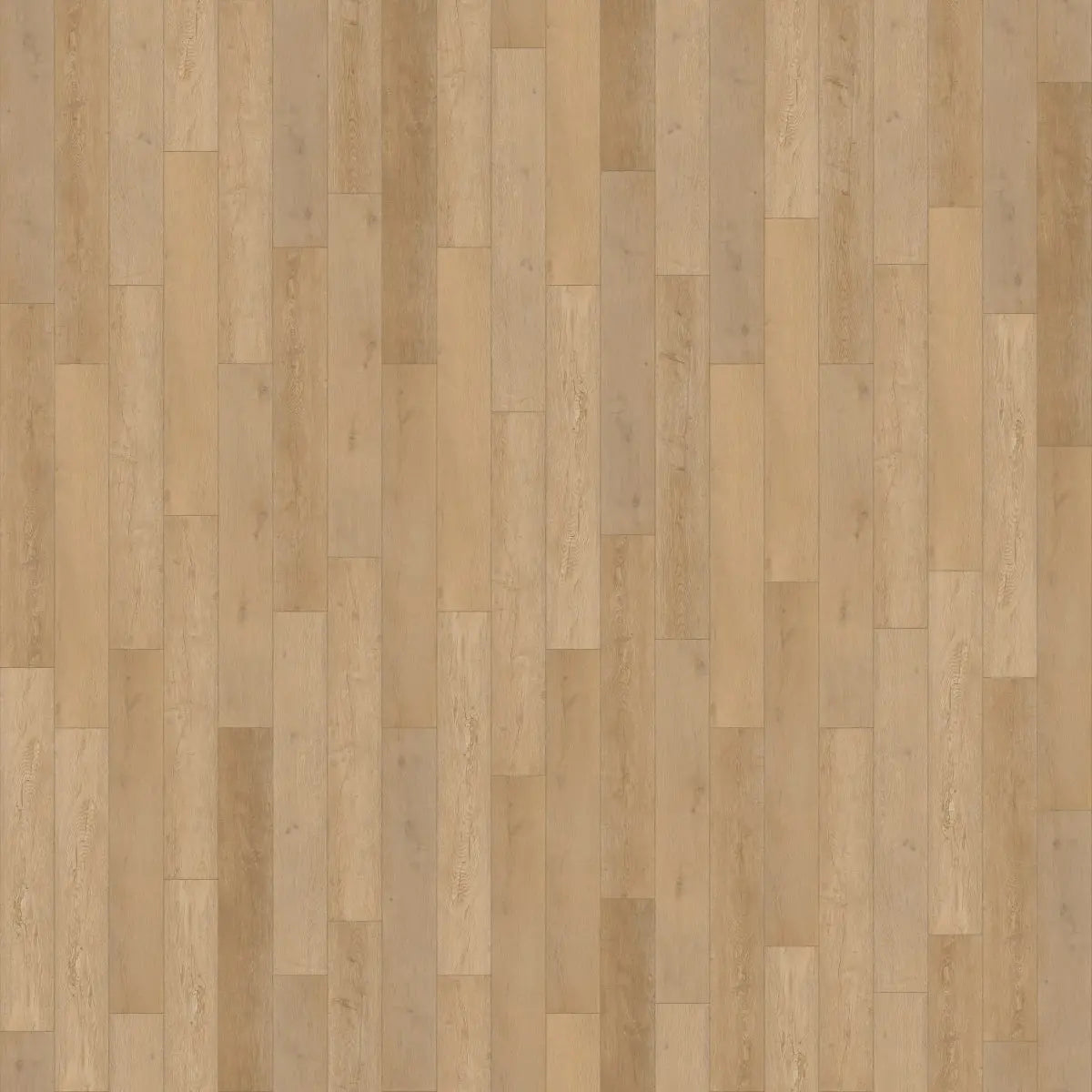Worldwide Flooring Design Center LEGENDS - LAGUNA SAND  Cali Floors