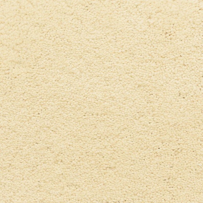 Worldwide Flooring Design Center CAPTIVATING CAPTIVATING Masland Floors